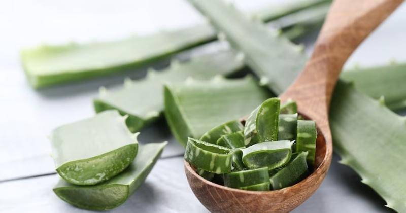 Freepik/ Racool_studio