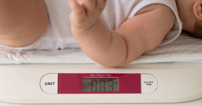 Freepik/cookie_studio