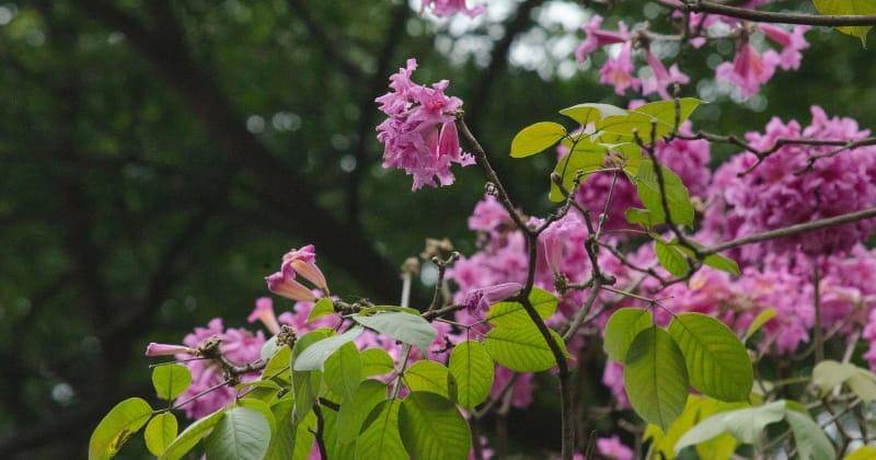 Unsplash/Manisha Raghunath