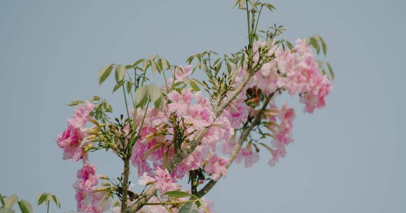 Unsplash/Kien Nguyen