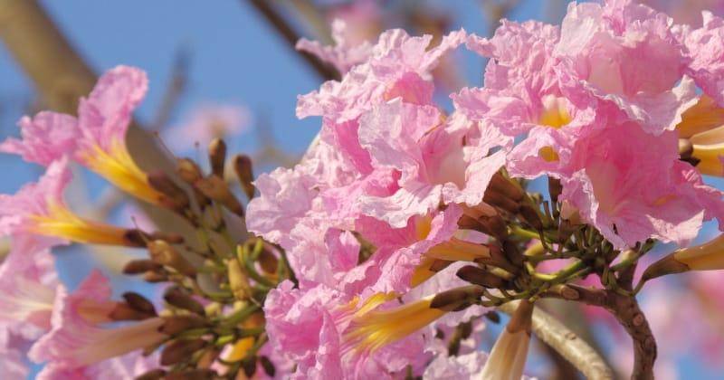 Unsplash/Joydeep Sensarma