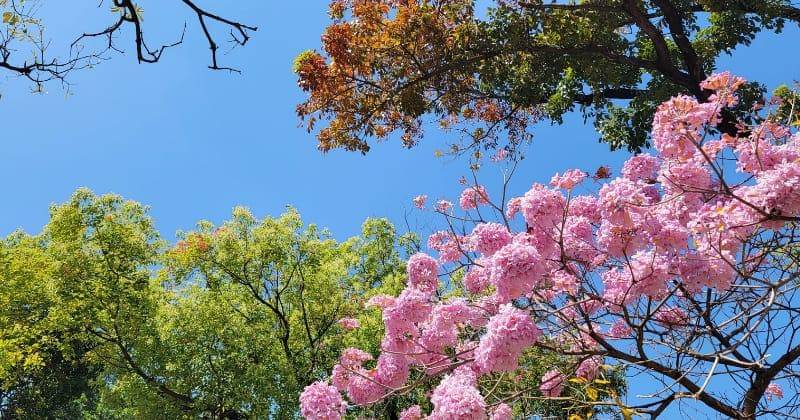 Unsplash/Po Hsuan Huang