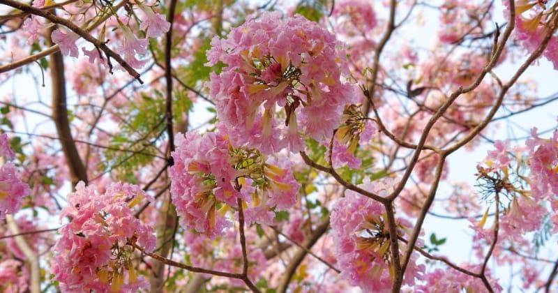 Unsplash/Joydeep Sensarma