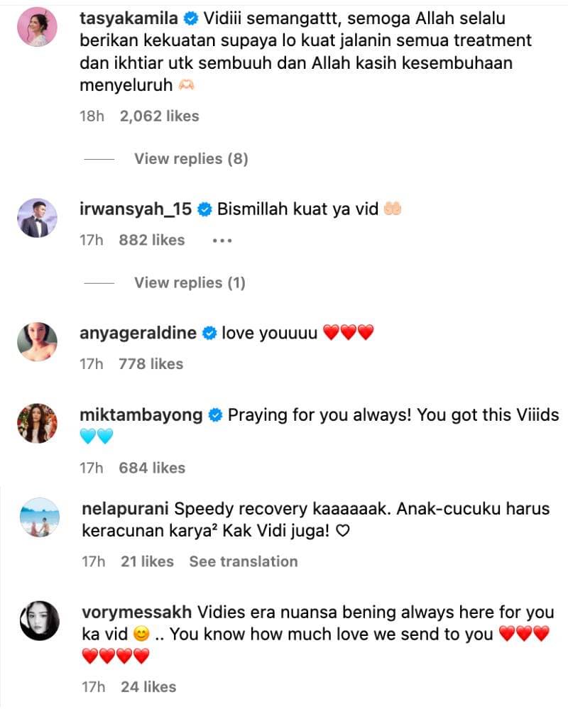 Instagram.com/vidialdiano