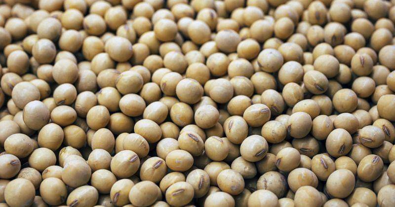 Unsplash/Daniela Paola Alchapar