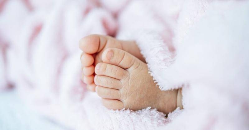 Ilustrasi - Freepik/jcomp