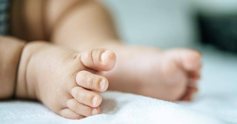 Ilustrasi - Freepik/jcomp