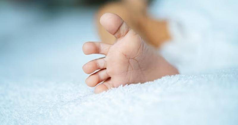 Ilustrasi - Freepik/jcomp