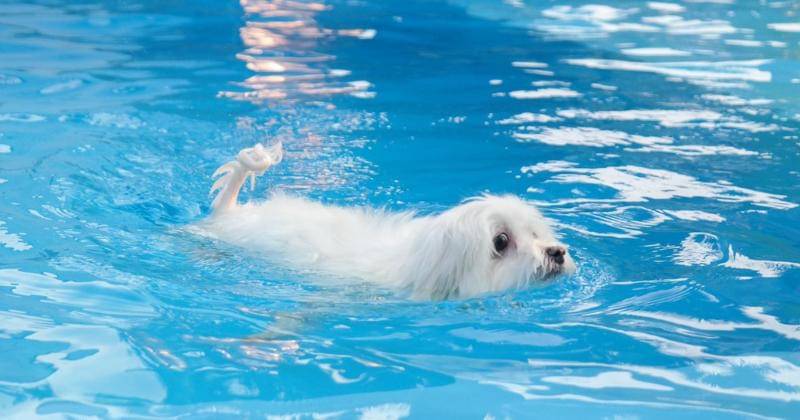 Dok. Summarecon Mall Serpong