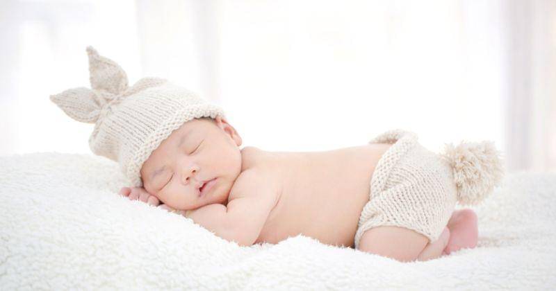 Freepik/studioredcup