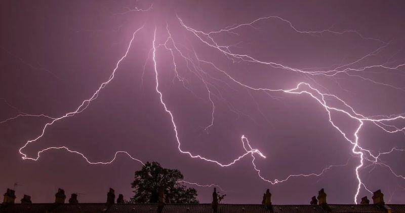 Pexels/Torsten Dettlaff