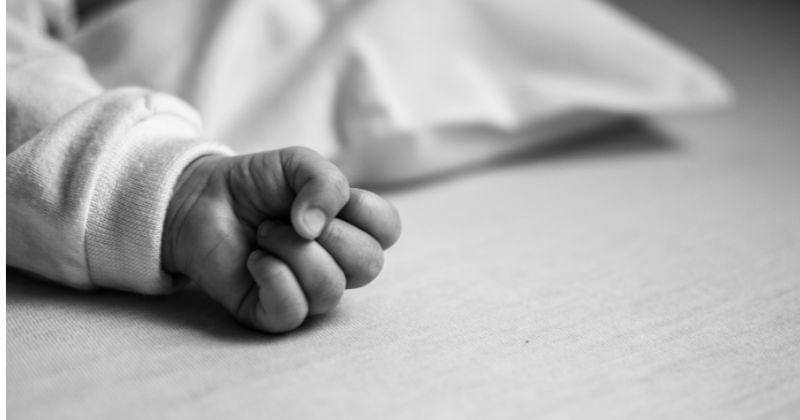 Unsplash/Flávia Gava