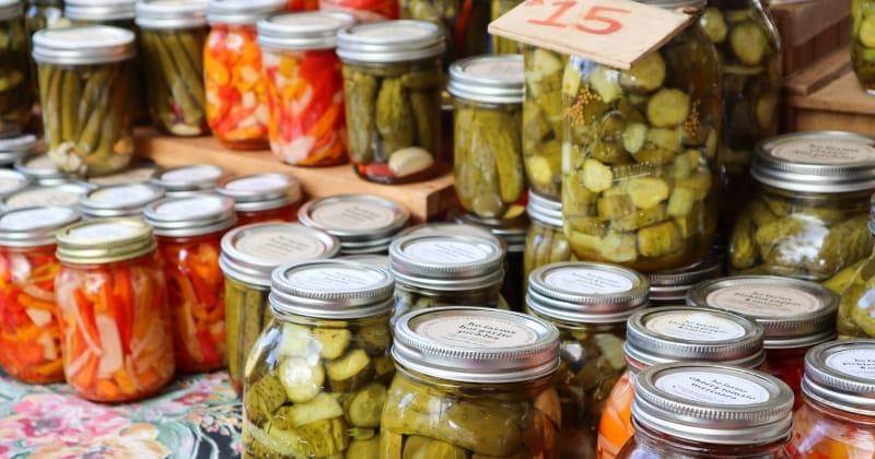 Unsplash/little plant