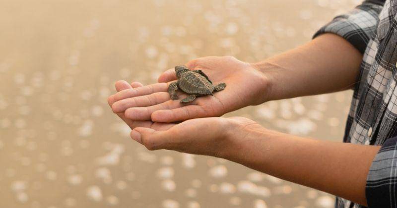 Pexels/LosMuertosCrew