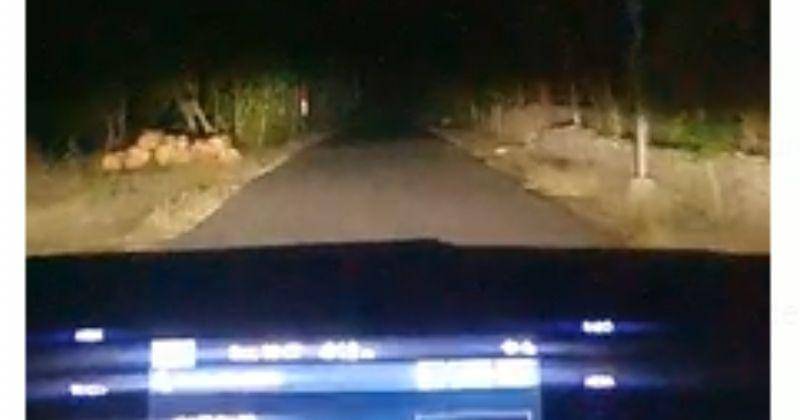 Popmama.com/Onic Metheany