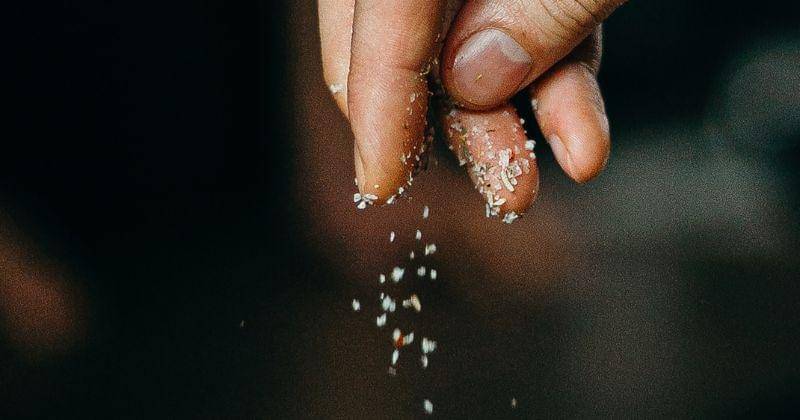 Pexels/cottonbrostudio