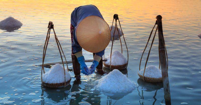 Pexels/QuangNguyenVinh