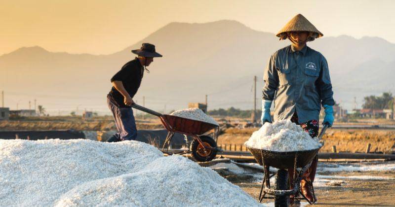 Pexels/QuangNguyenVinh