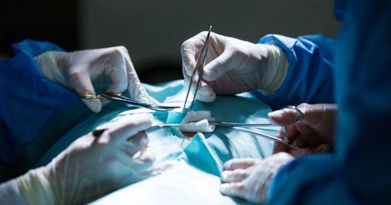 Freepik/peoplecreations