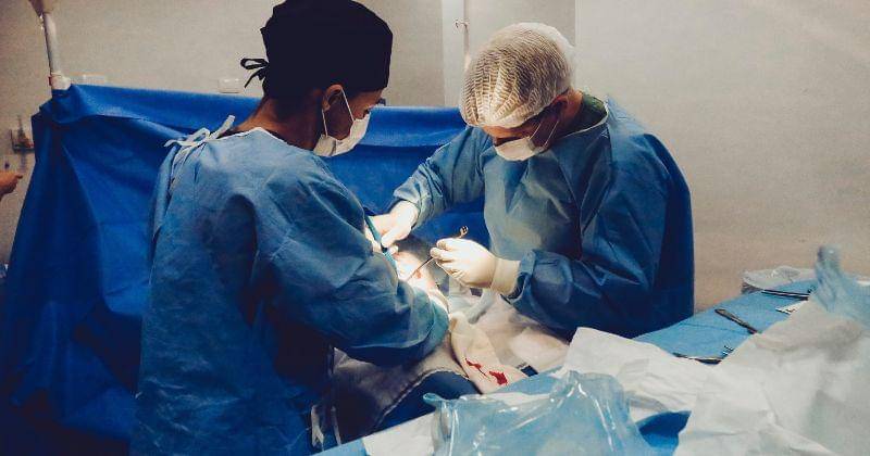 Pexels/VidalBalieloJr.