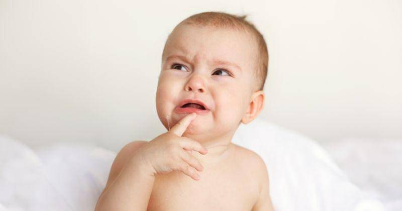 Freepik/cookie_studio