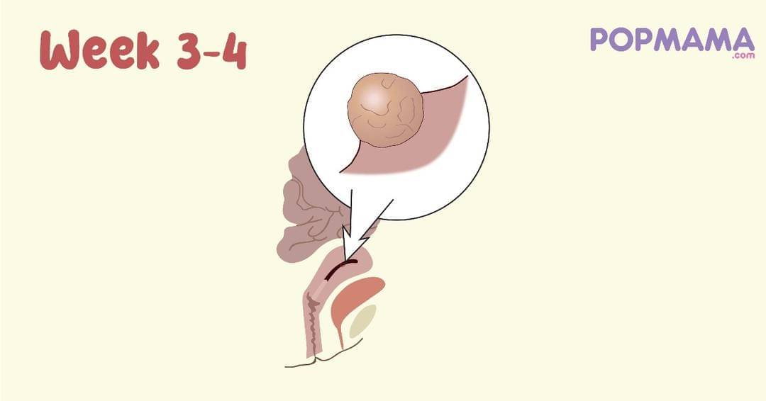 Popmama.com/Aristika Medinasari