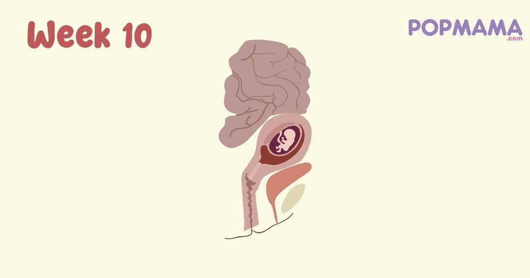 Popmama.com/Aristika Medinasari