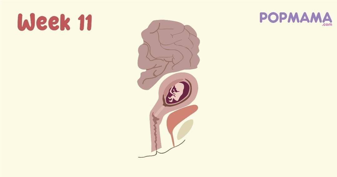 Popmama.com/Aristika Medinasari