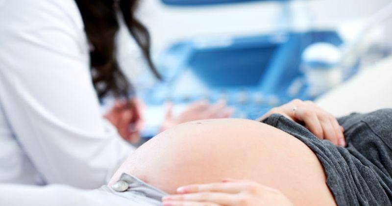 Freepik/serhii_bobyk