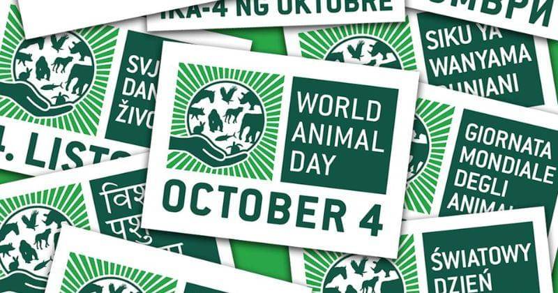 World Animal Day
