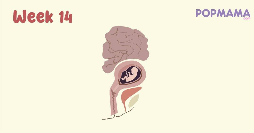 Popmama.com/Aristika Medinasari