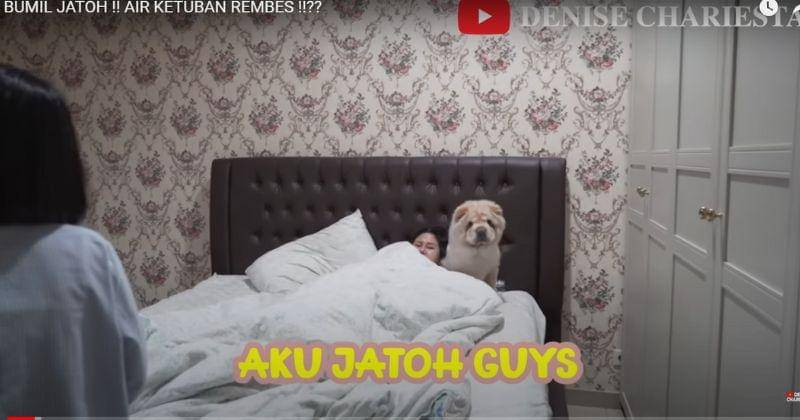 Youtube.com/denisechariestaofficial