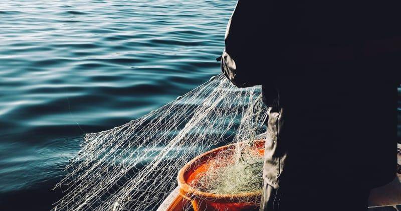 Unsplash/FredrikOhlander