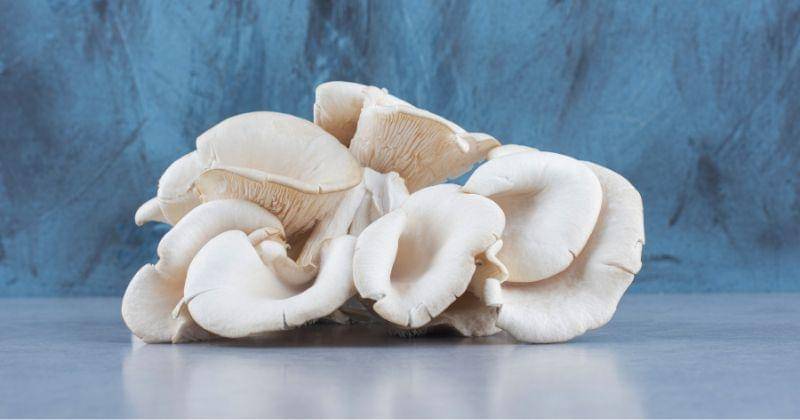 Freepik/azebaijan_stockers