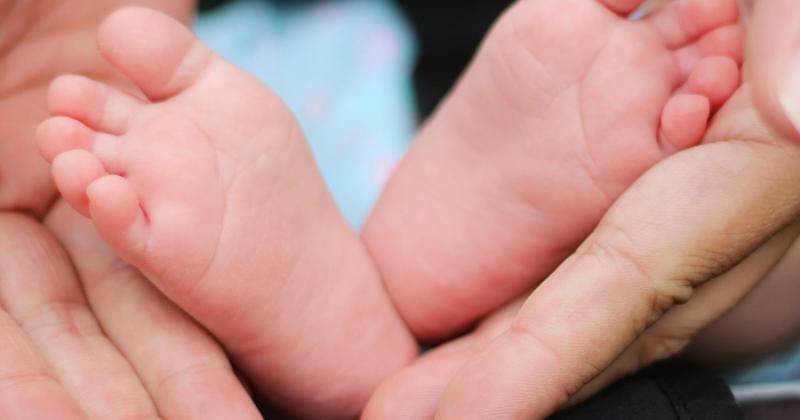 Unsplash/BonnieKittle