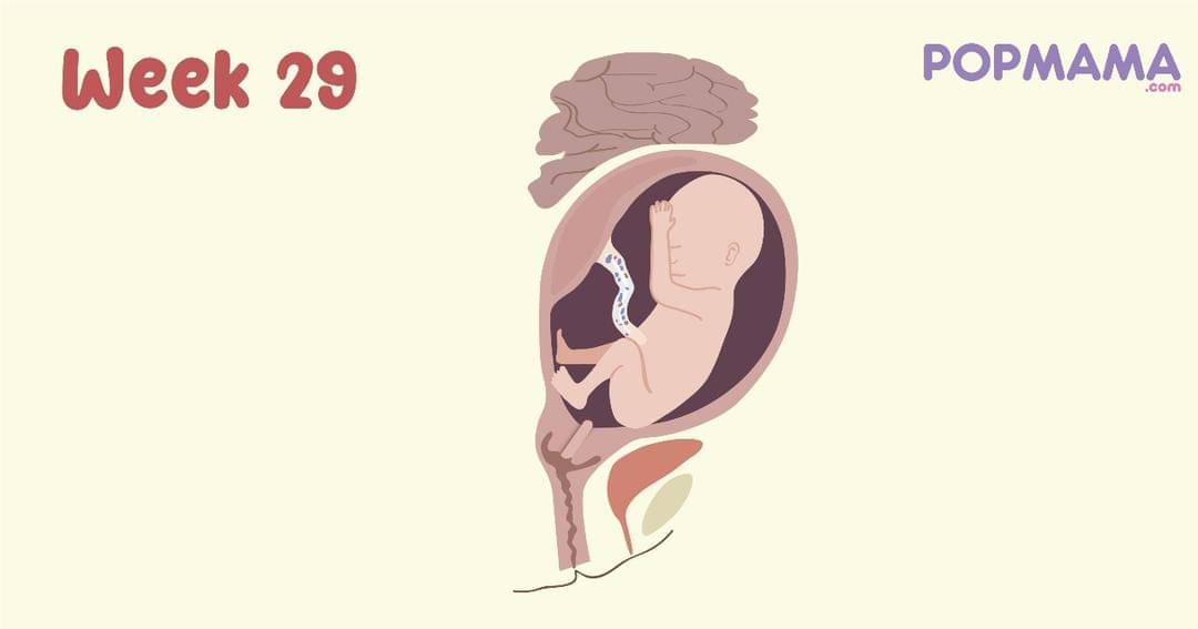 Popmama.com/Aristika Medinasari