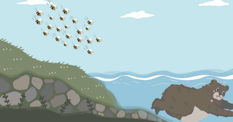 Youtube.com/Studycle Kids