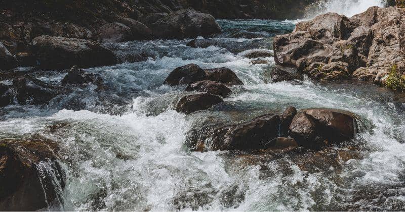 Fakta Penemuan Jasad Bayi Prematur di Sungai Ponorogo