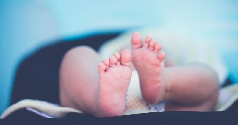 Unsplash/JankoFerlic