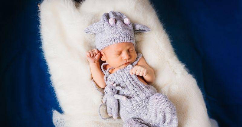 Freepik/freepic.diller