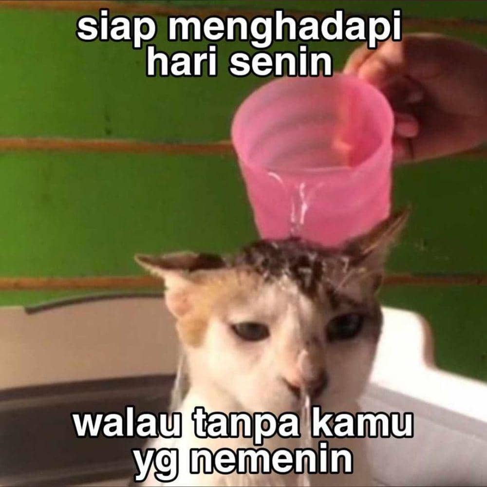 Minggu sore mulai bikin Papa resah
