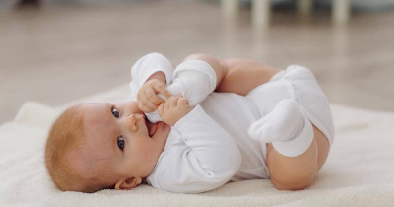 Freepik/bristekjegor