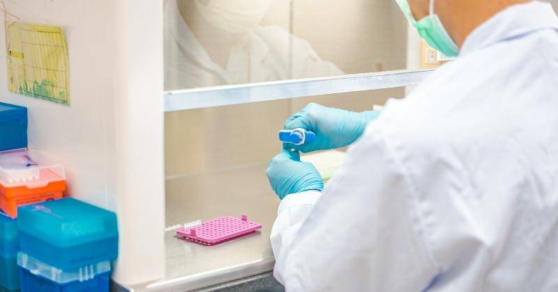 Unsplash/Muhammad Syafi Al - adam