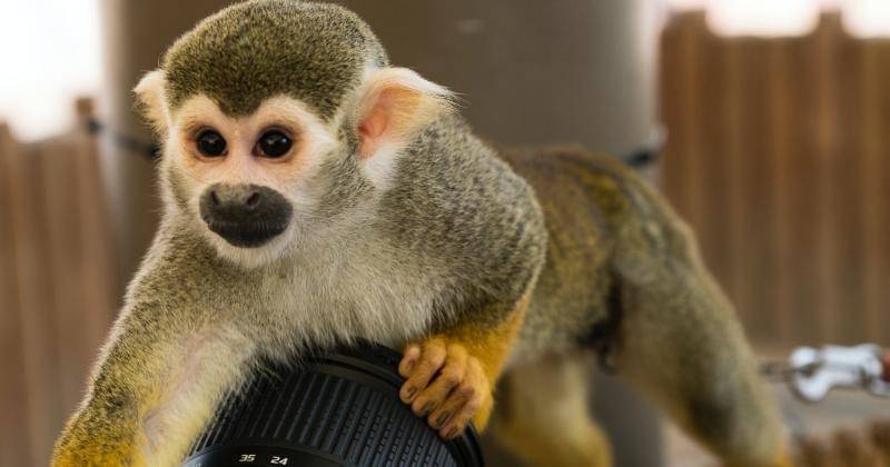 Unsplash/Muhammad Nasir