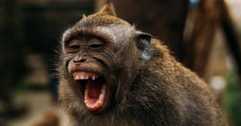 Unsplash/Dmitriy Zub