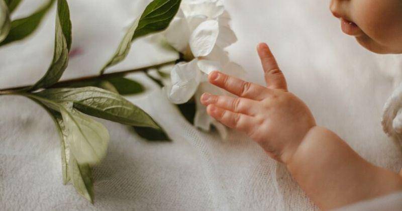 Freepik/freepic.diller