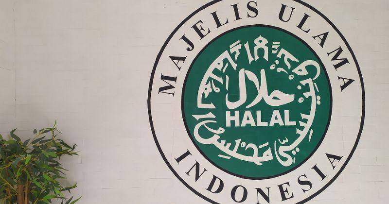 halalmui.org