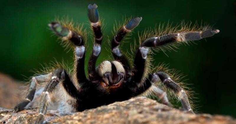 Freepik/kuritafsheen77