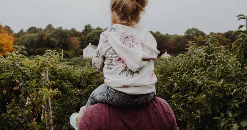 Unsplash/Kelly, Sikkema