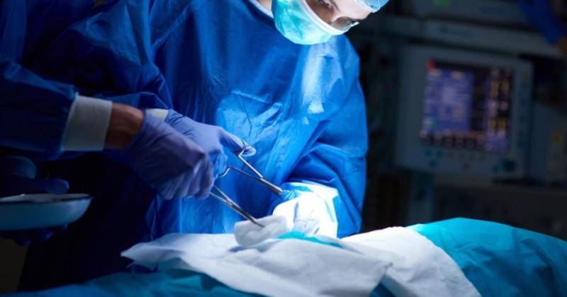 Freepik/gpointstudio